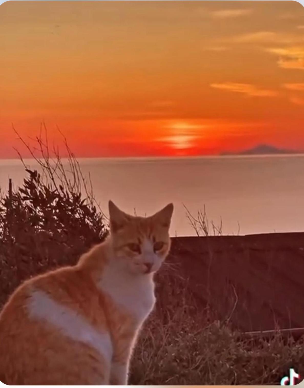 Oia Sunset House Pothitou Villa ภายนอก รูปภาพ